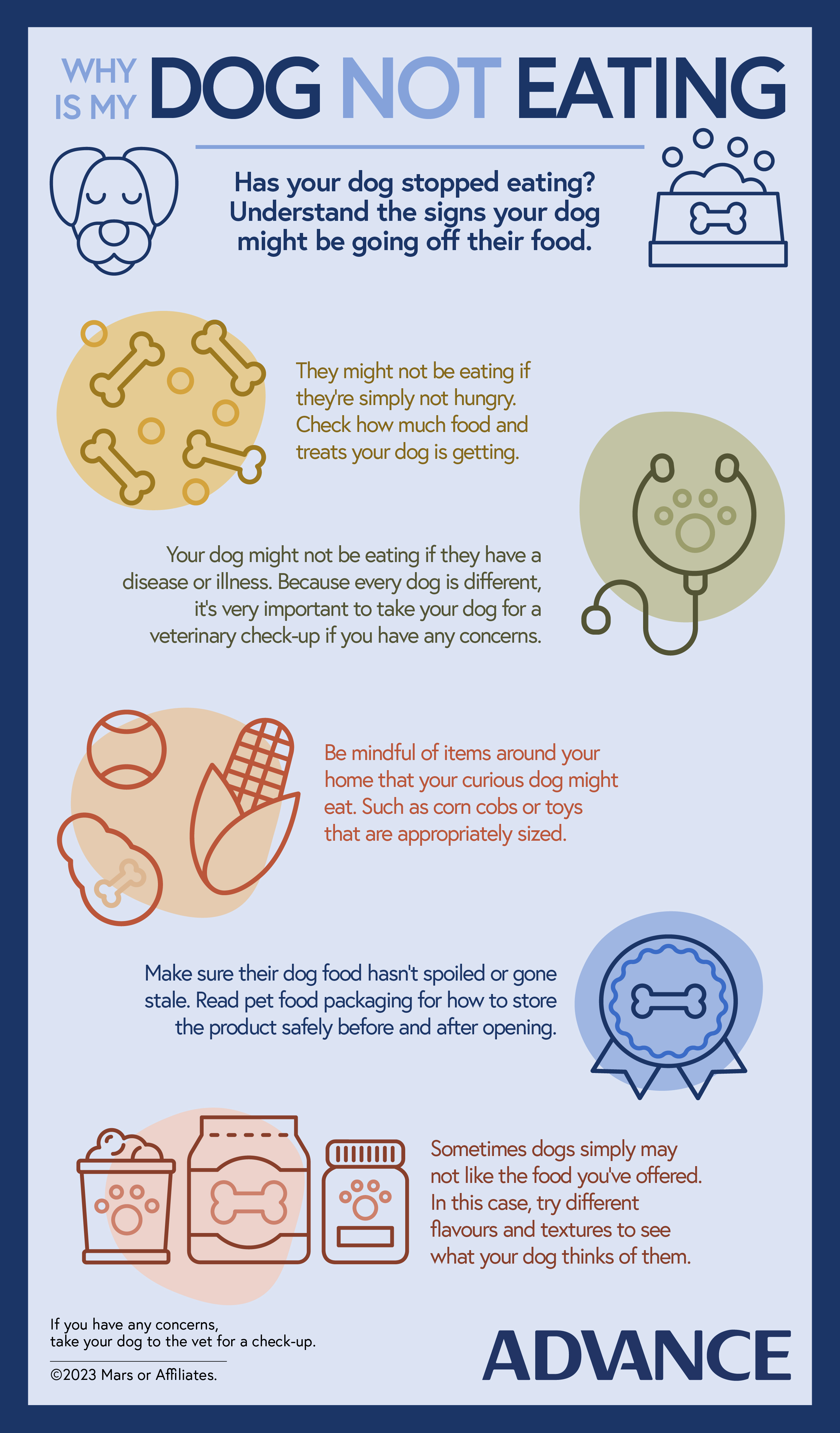 Month2 - Dog not Eating Infographic