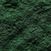Green-lipped Mussel Powder