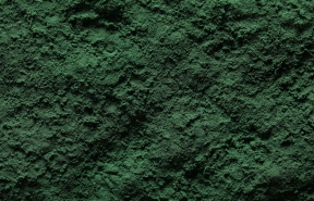 Green-Lipped Mussel Powder