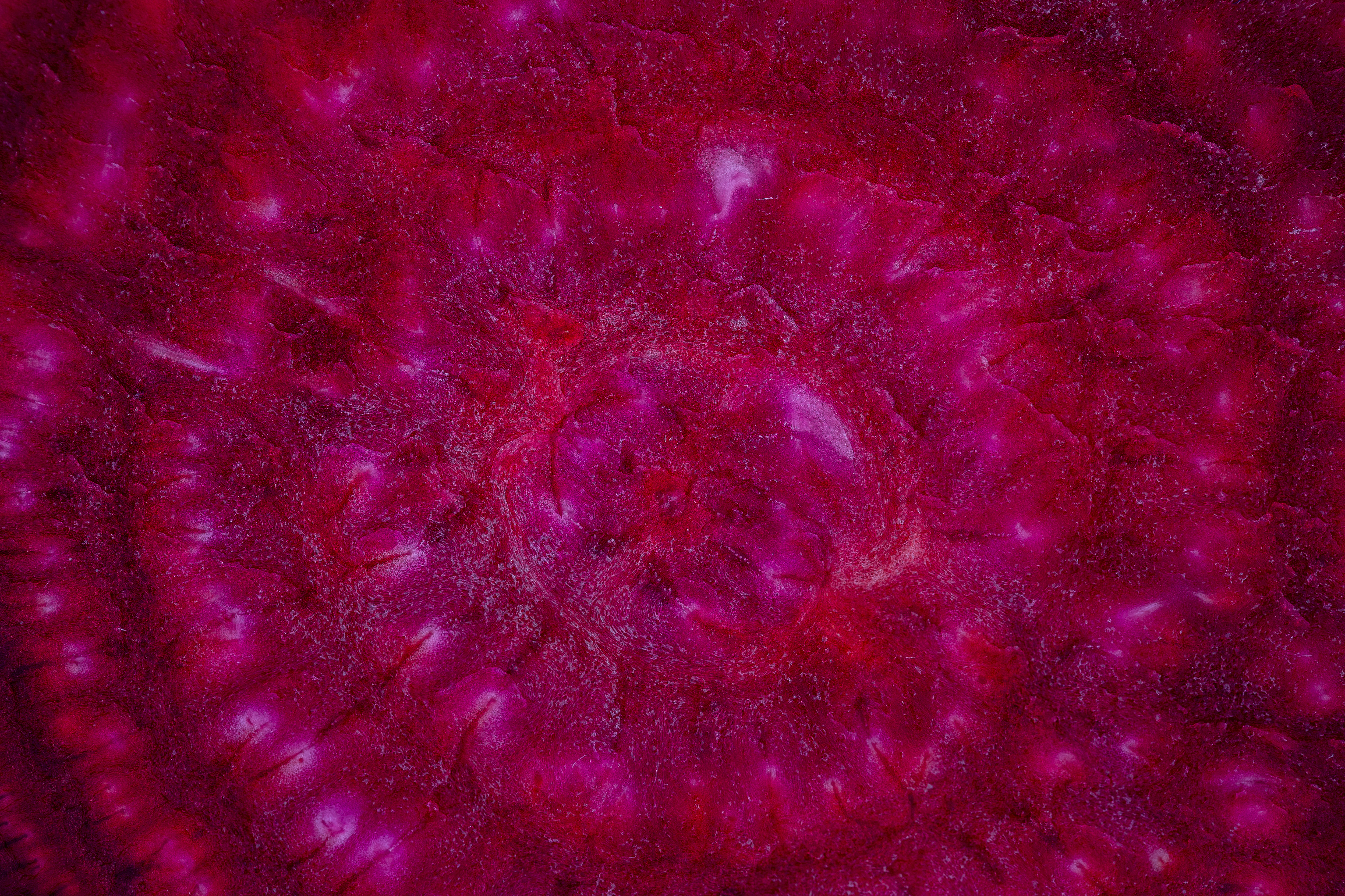 Fermentable Prebiotic Fibre-280