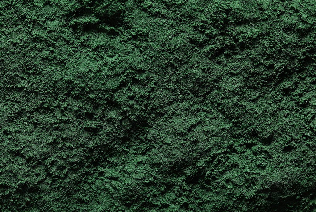 Freeze Dried Green Lipped Mussel Powder-286