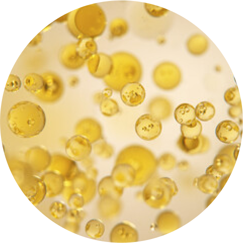 Omega 6-281