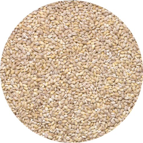 Psyllium Husk-318