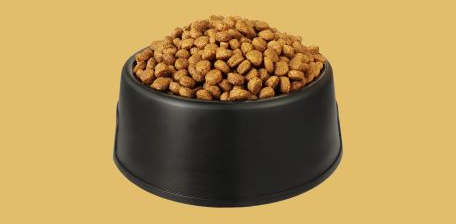 Pet food bowl