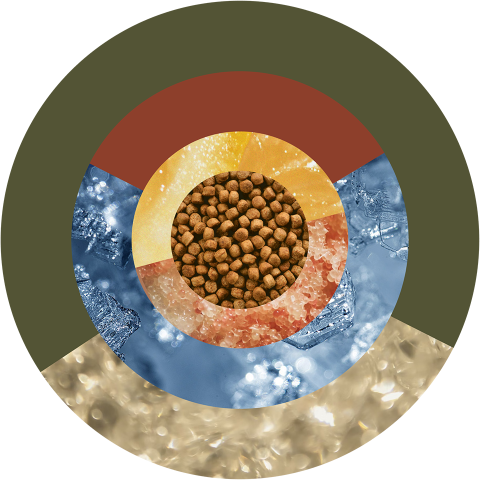 centered circle 