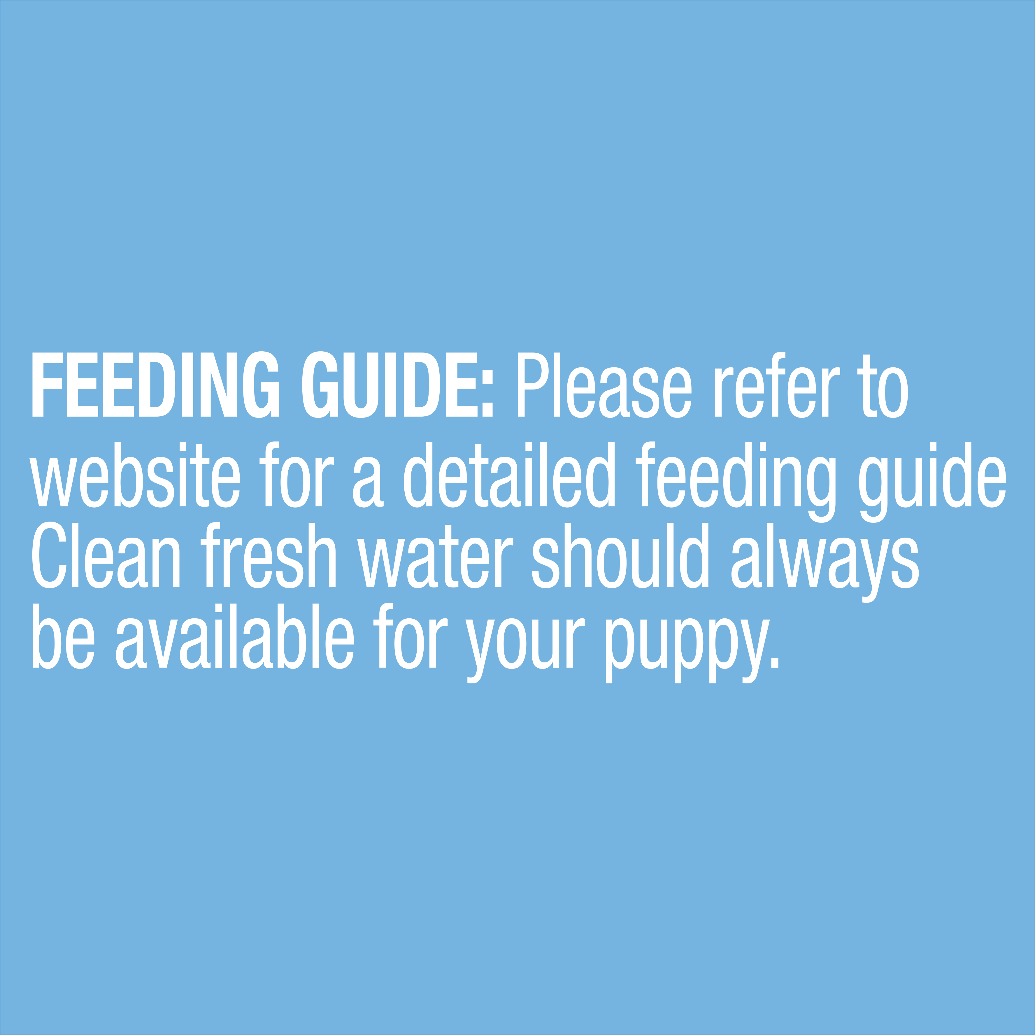 ADVANCE™ Puppy Lamb and Rice Trays