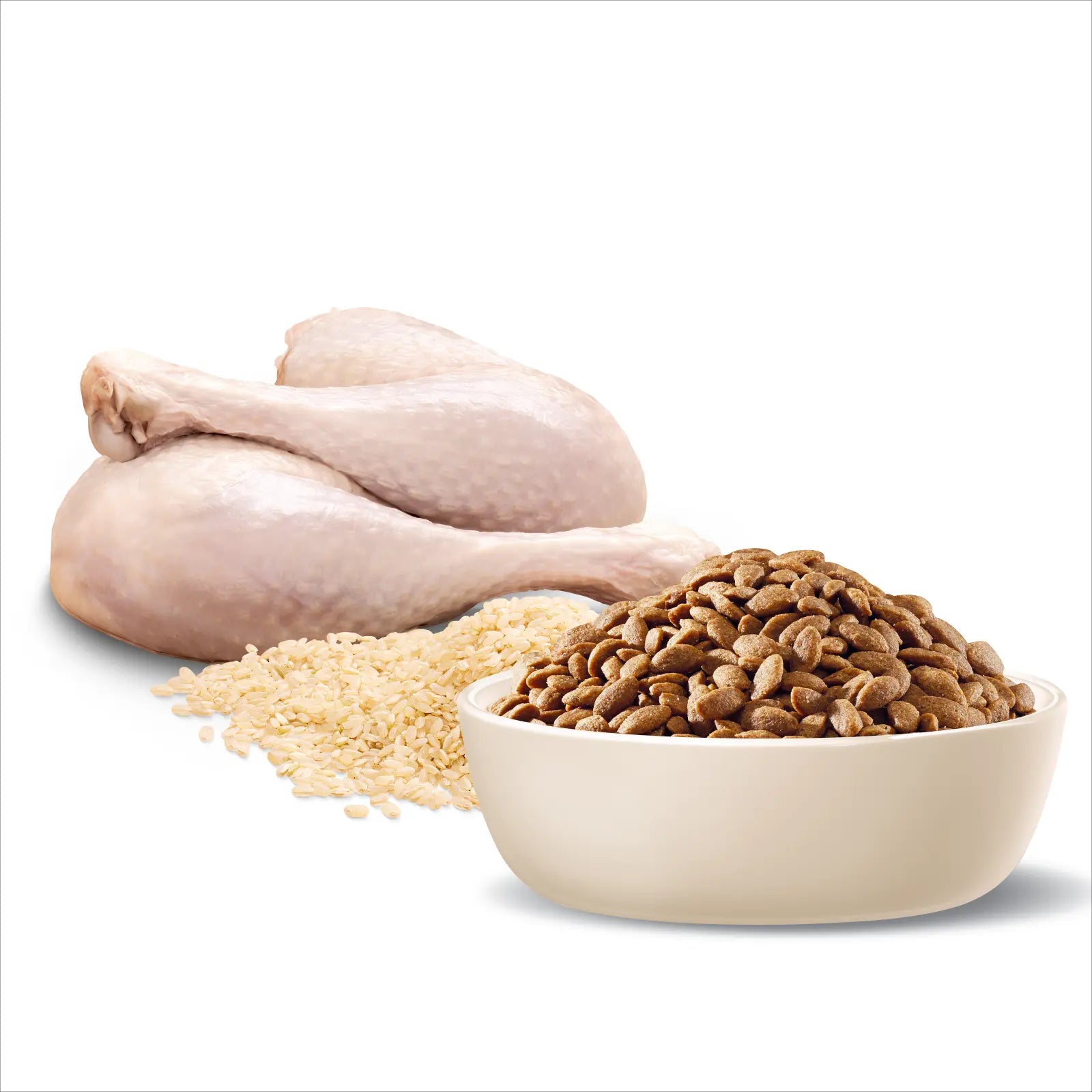 ADVANCE™ Small Oodles Dry Dog Food Turkey with Rice