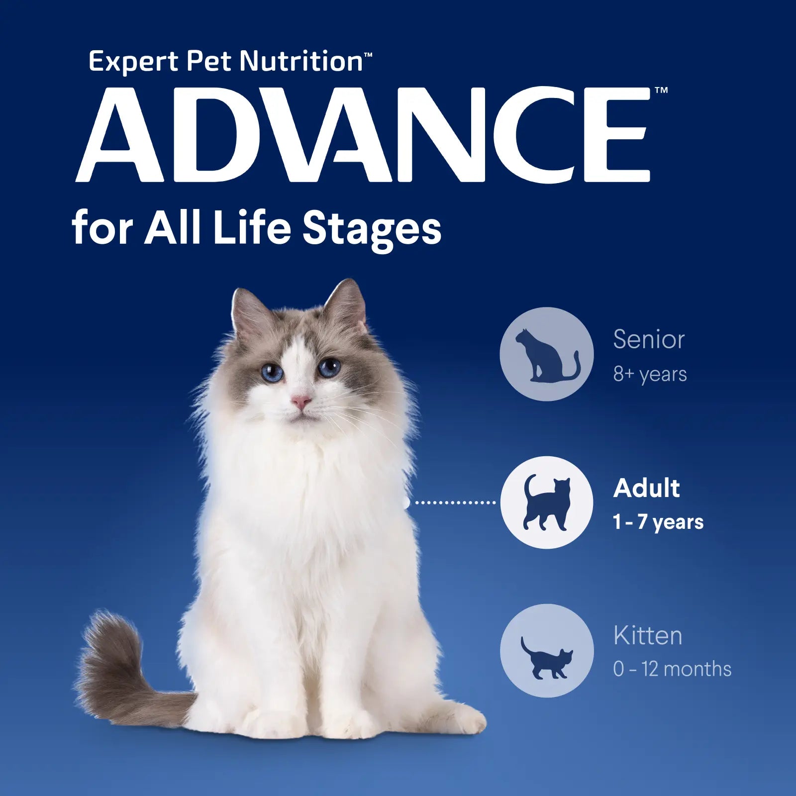 ADVANCE™ Indoor Adult Chicken