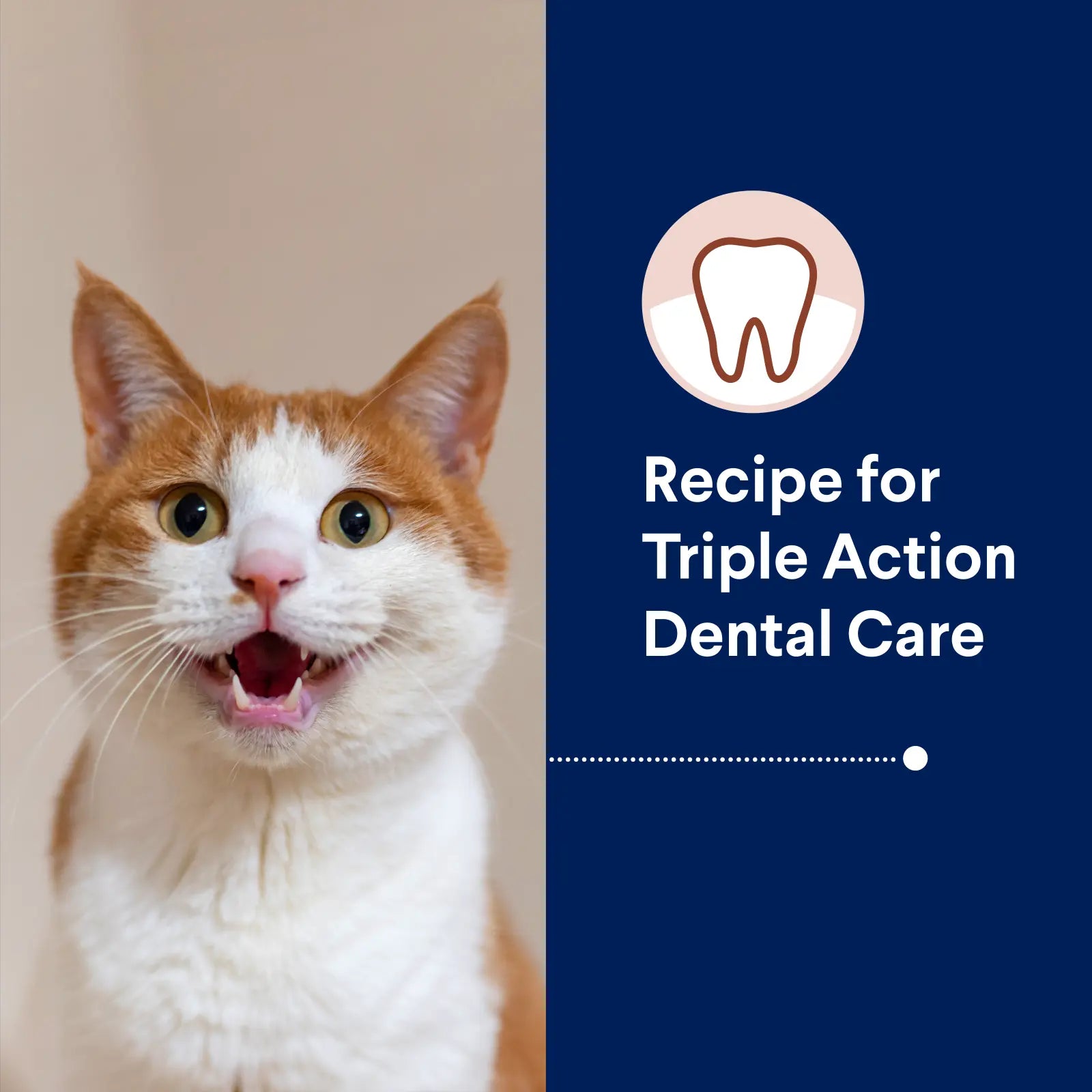 ADVANCE™ Triple Action Dental Care Adult Chicken