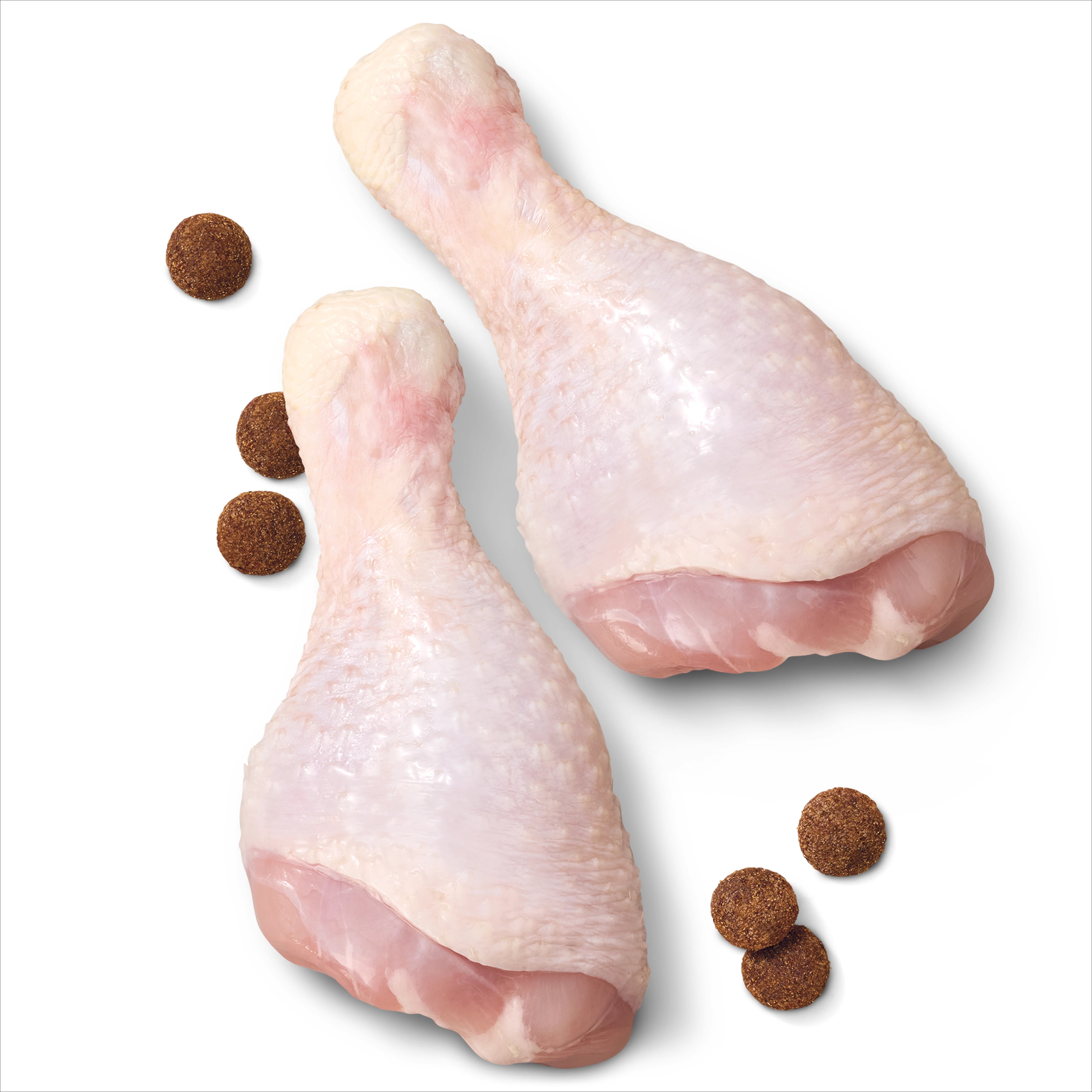 ADVANCE Adult High-Protein Grain-Free Dry Dog Food Chicken