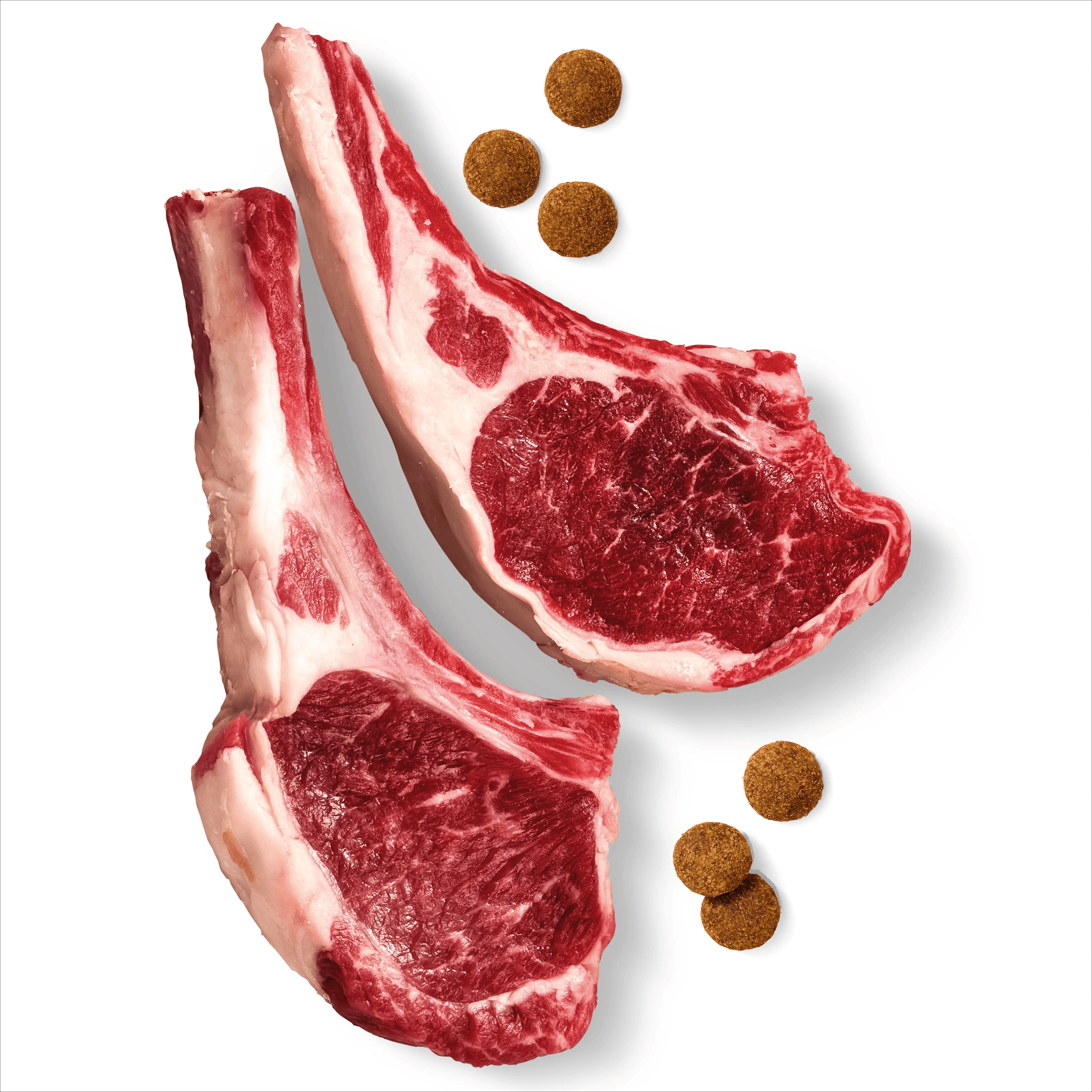 ADVANCE™ Adult High-Protein Grain-Free Dry Dog Food Lamb