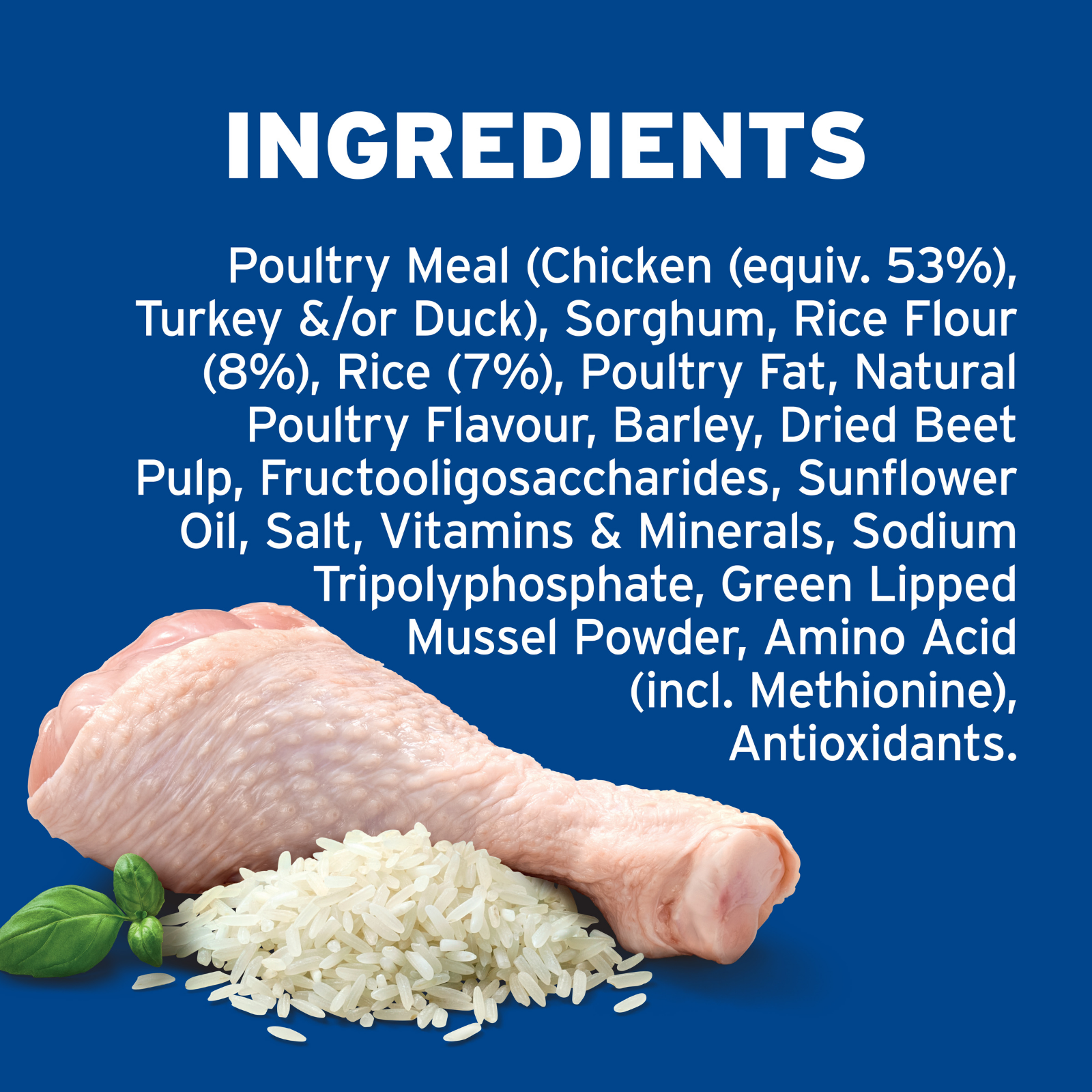 ADVANCE™ Adult Large Breed Lamb with Rice