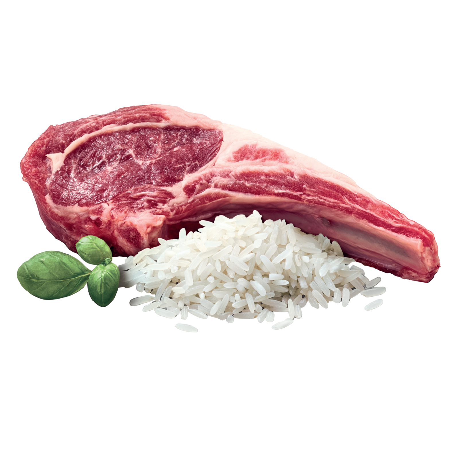 ADVANCE™ Adult Large Breed Lamb with Rice