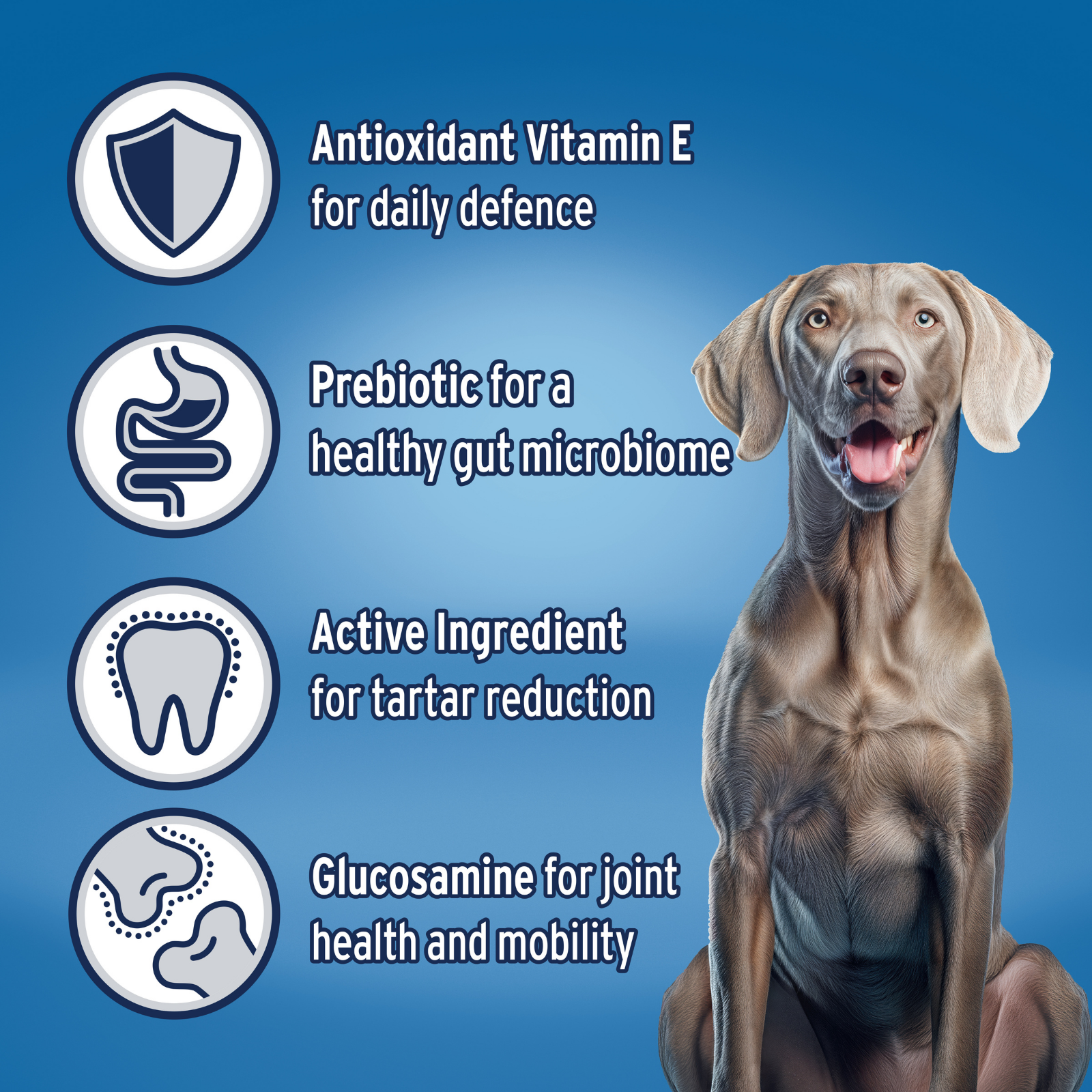 ADVANCE™ Adult Large Breed Turkey with Rice
