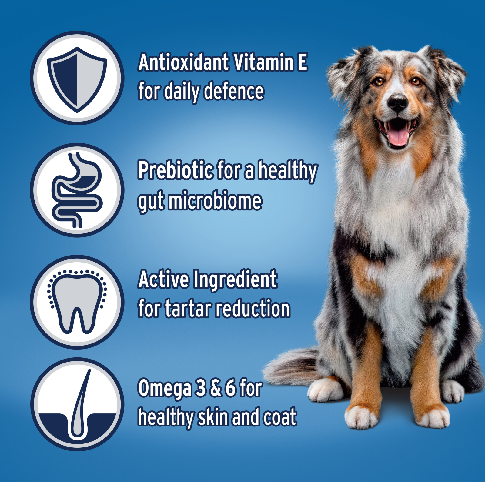 ADVANCE™ Adult Medium Breed Chicken with Rice
