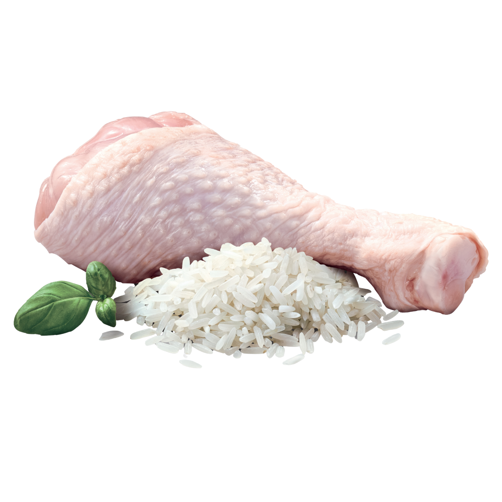 ADVANCE™ Adult Medium Breed Chicken with Rice