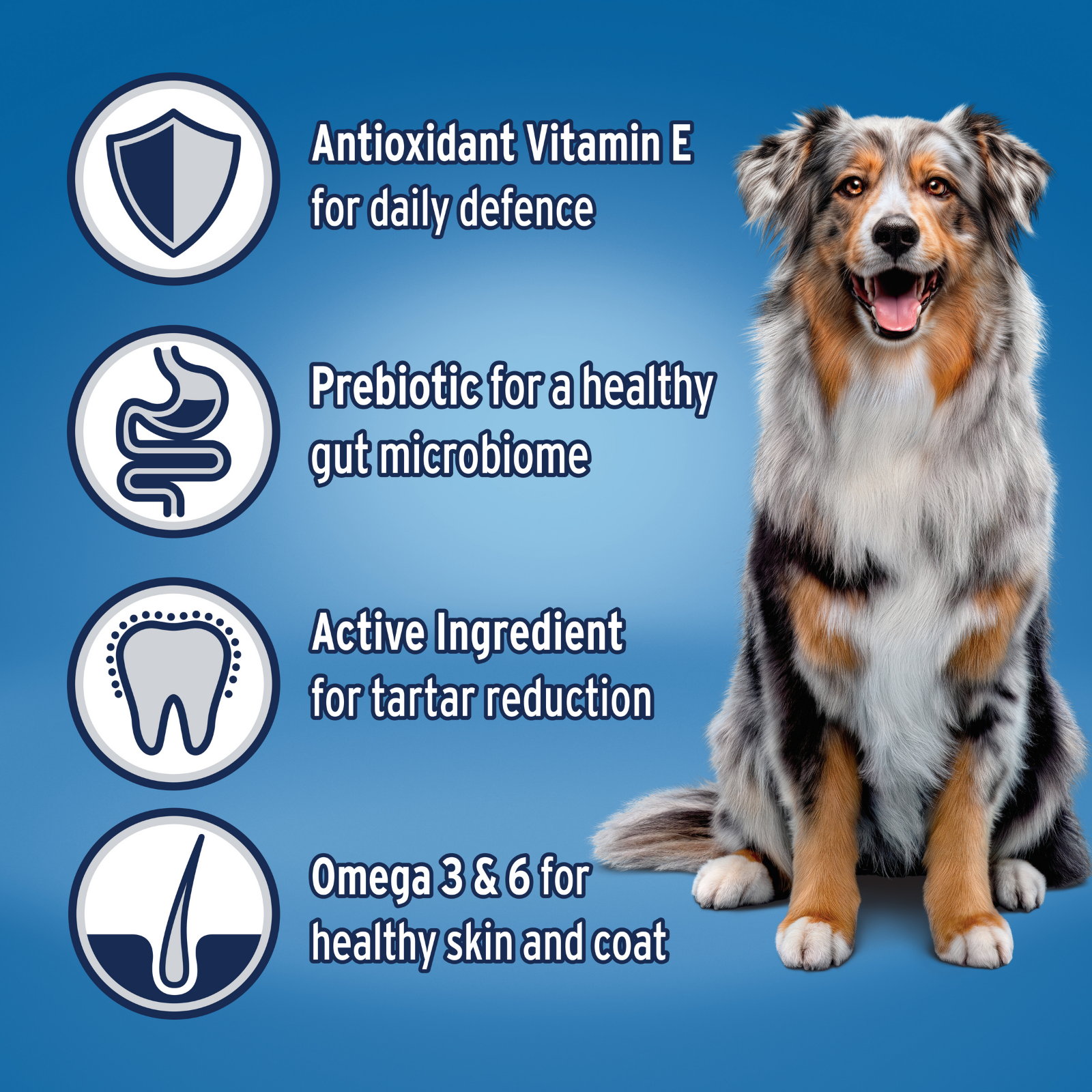 ADVANCE™ Adult Medium Breed Turkey with Rice