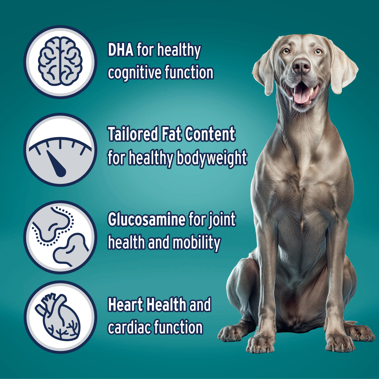 ADVANCE™ Healthy Ageing Large Breed Chicken with Rice