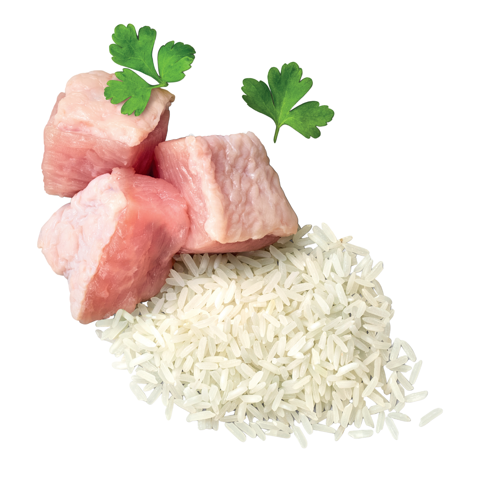 ADVANCE™ Medium to Large Oodles Dry Dog Food Turkey with Rice