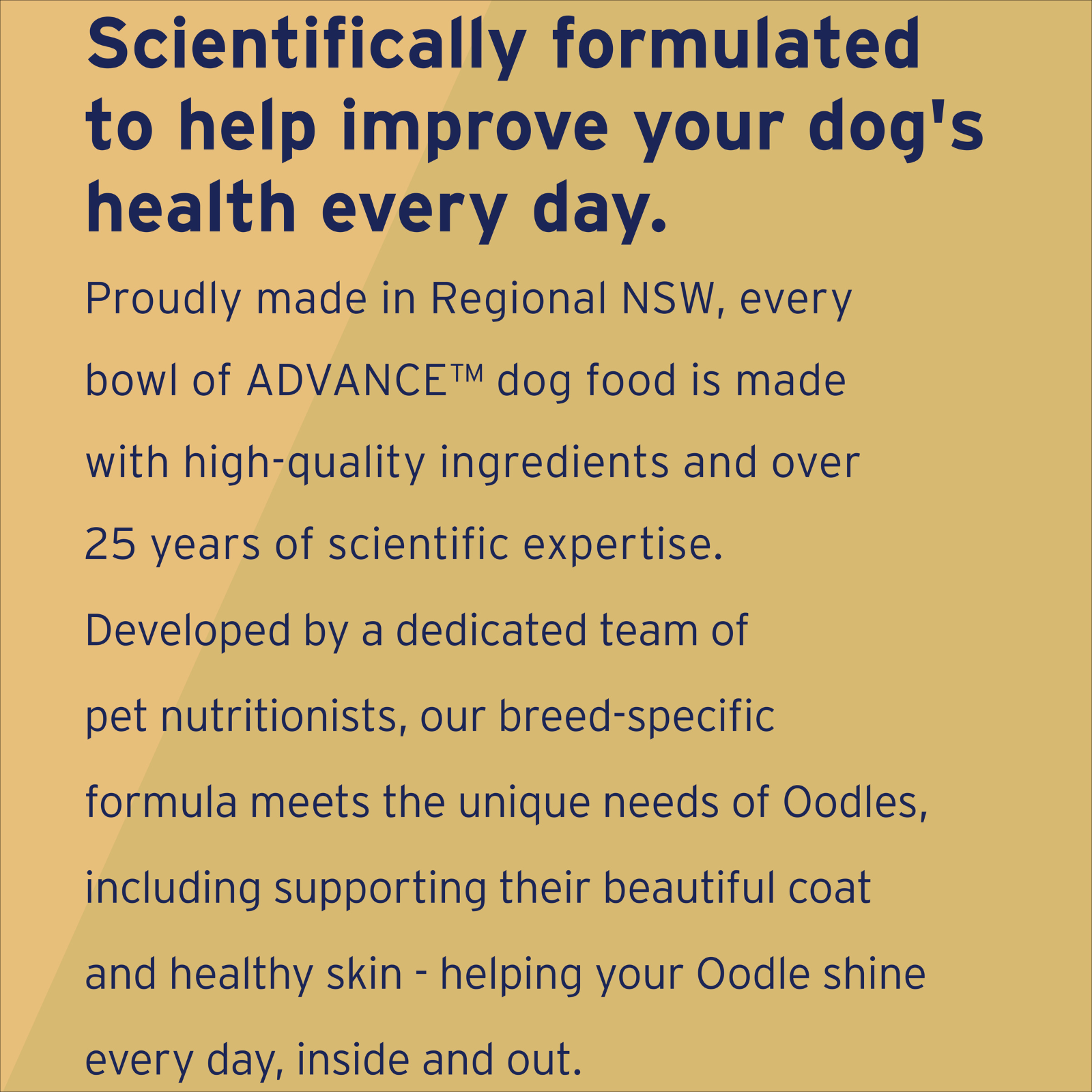 ADVANCE™ Medium to Large Oodles Dry Dog Food Turkey with Rice