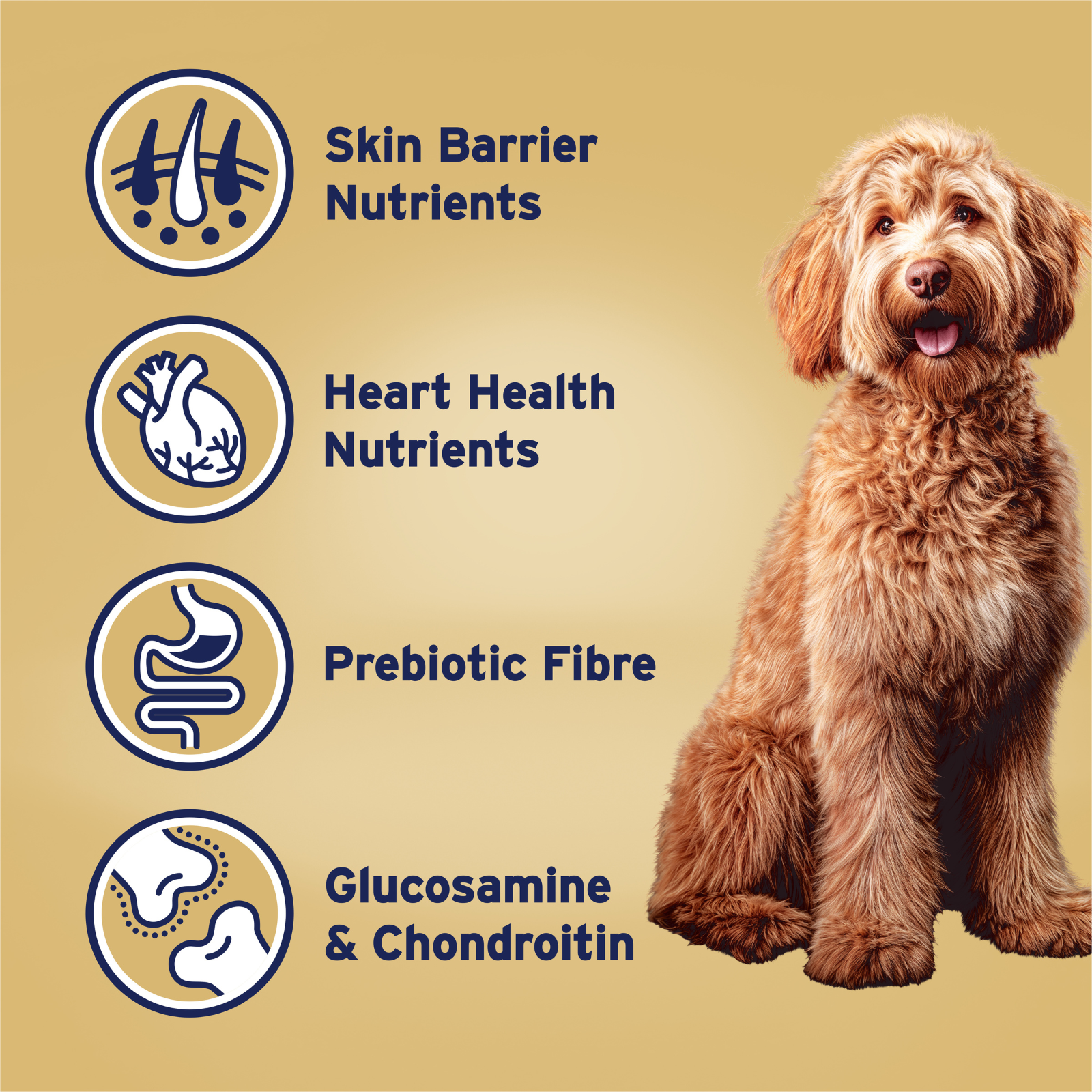ADVANCE™ Medium to Large Oodles Dry Dog Food Turkey with Rice