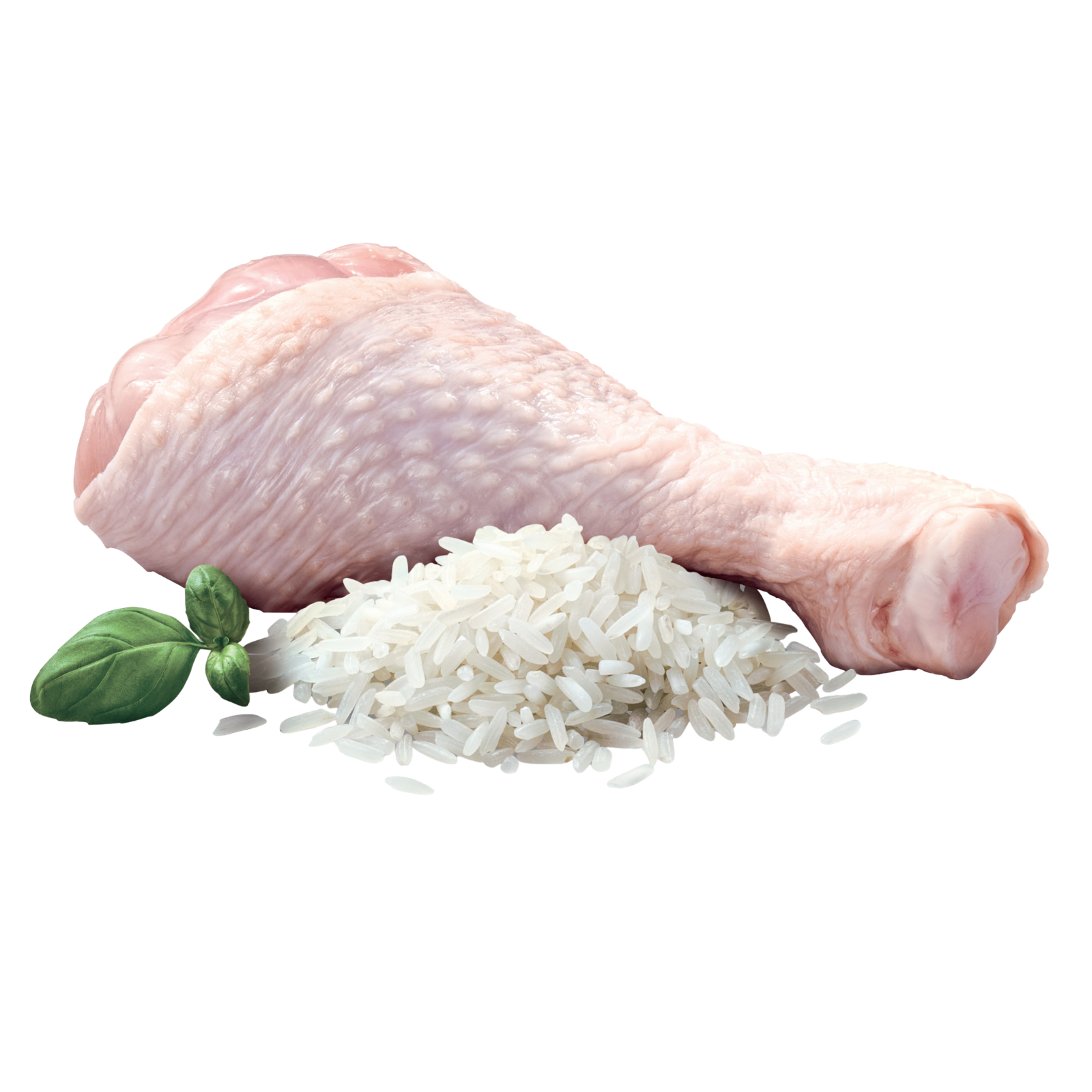 ADVANCE™ Puppy Large Breed Chicken with Rice