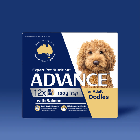 advance oodles wet food