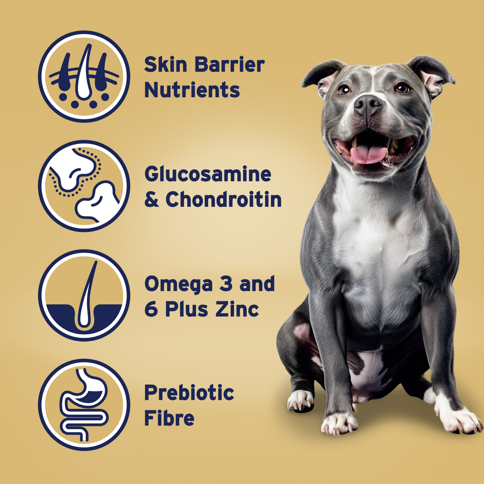 ADVANCE™ Terrier Adult Medium Breed Turkey with Rice
