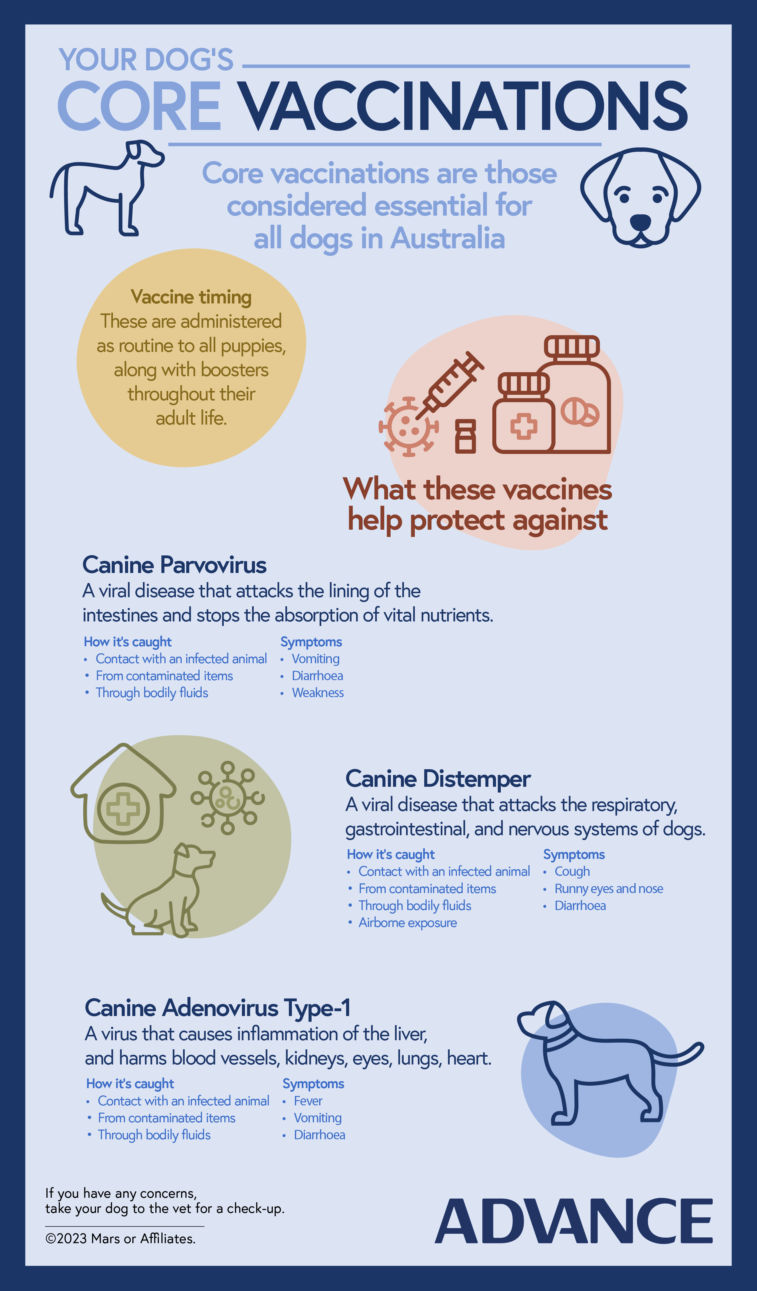 Month2 - Core Vaccs Infographic_FA_Dog Vax