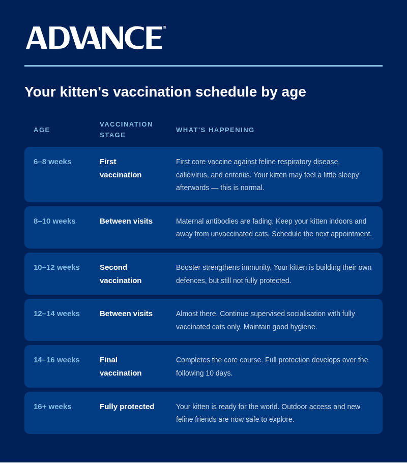 Your kitten's vaccination schedule by age