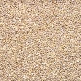 Psyllium Husk